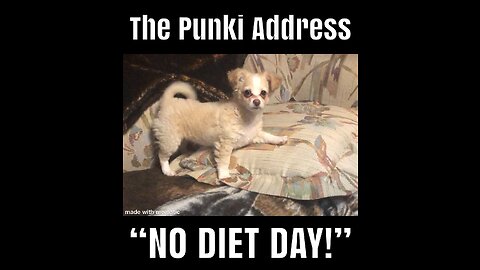 Punki and Friends Celebrate-"NO DIET DAY"