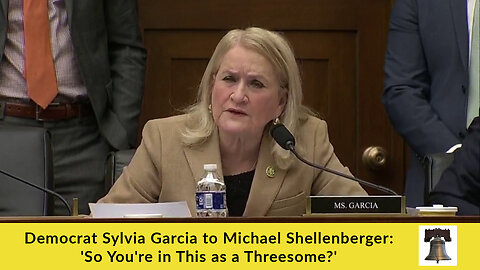 Democrat Sylvia Garcia to Michael Shellenberger: 'So You're in This as a Threesome?'
