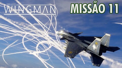 Project Wingman Detonado PT-BR | Missão 11: Guerra Fria