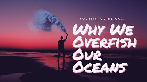The Cause Of Overfishing | YourFishGuide.com