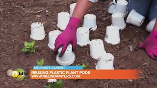 Melinda’s Garden Moment – Re-using plastic plant pots