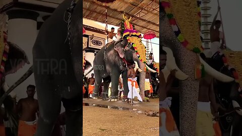 വൈക്കത്തഷ്ടമി | Vaikathashtami Festival 2023 | Vaikom Sree Mahadeva Temple | #Yaathra | S #197