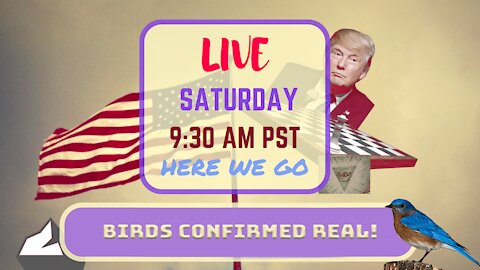 Saturday *LIVE* Birds Confirmed Real! Edition