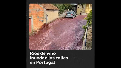 Rotura en depósitos de vino provocan una inundación en Portugal