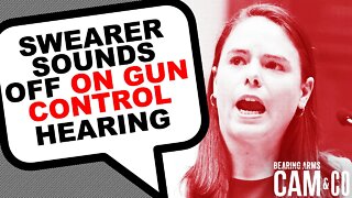 Swearer sounds off on House gun control hearing