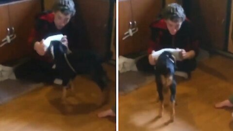 Owner teasing his dog through a prank