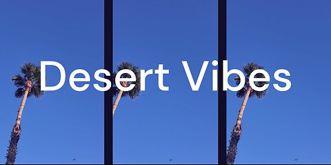 Desert Vibes (Official Music Video) - THETA313