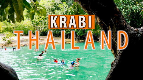 KRABI In A Day, 3 Amazing Sites! Emerald Pool, Hot Springs, And Tiger Temple.
