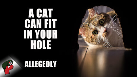 A Cat Can Fit in Your Hole… Allegedly | Grunt Speak Shorts