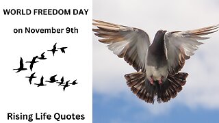 World Freedom Day on November 9th