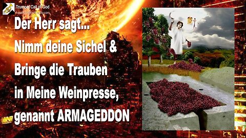 02.11.2005 🎺 Armageddon... Sohn, nimm deine Sichel & Bringe die Trauben in Meine Weinpresse