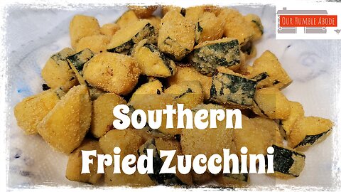 Southern Fried Zucchini