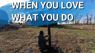 The Fence Is Almost Complete | Why I Chose A Kioti Tractor | I Love This Life.