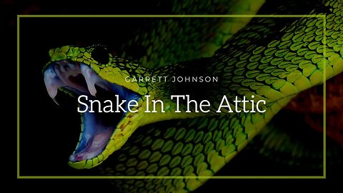 Snake In The Attic by Garrett Johnson