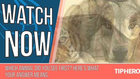 Which Animal Did You See First? Here's What Your Answer Means.