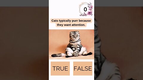 Cat Quiz 1🙀| If you fail this Quiz You're not a Cat Person