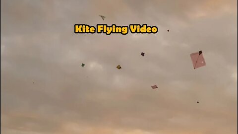 Friday Kite Flying Video 2019