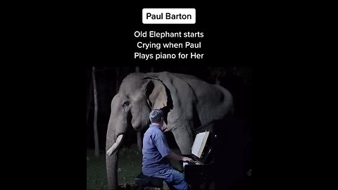 ELEPHANT STARTS CRYING WHILE LISTENING TO PIANO MUSIC