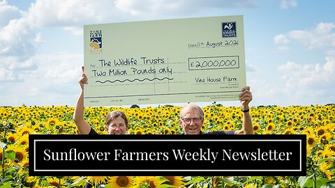 Sunflower Farmers Weekly Newsletter