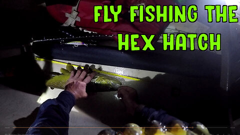 Fly Fishing The Hex Hatch
