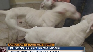 Dog rescuer under investigation for animal cruelty