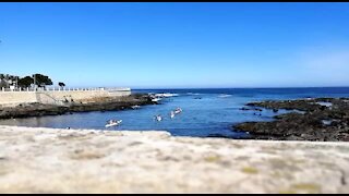 SOUTH AFRICA - Cape Town - Table Bay Kayaking (Video) (aDu)