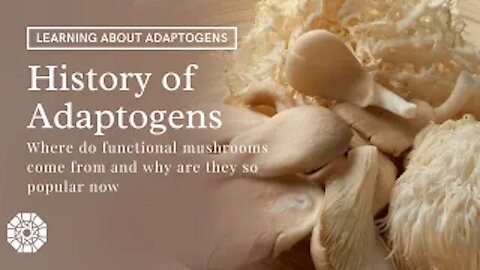 ADAPTOGENS & their history