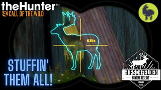 The Hunter: Call of the Wild, Fleischer- Stuffin' them All! Hirschfelden (PS5 4K)