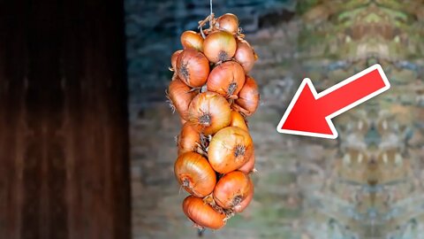 Here's Why You Should Hang Your Onions