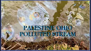 ENVIRONMENTAL DISASTER | Another instance of a contaminated stream in Palestine OH