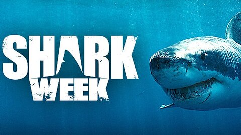 Facebook Memes Of The Week 198: Shark Week 2023 (72623A)