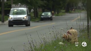 Car crashes into home twice in a month