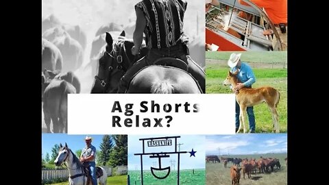 RELAX?! - Ag Shorts
