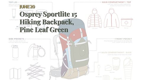 Osprey Sportlite 15 Hiking Backpack, Pine Leaf Green