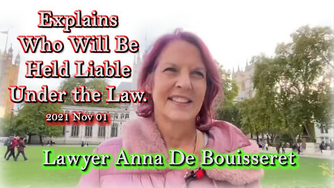 2021 NOV 01 Lawyer Anna De Bouisseret Explains Who Will Be Held Liable Under the Law