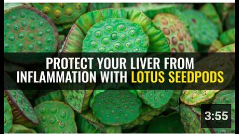 Protect your liver from inflammation with lotus seedpods