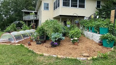 Garden Update 6/25/23