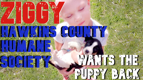 ZIGGY - Return the puppy!!!