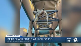 Dead shark hanging in Florida high school
