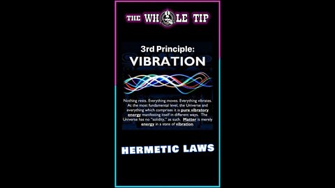 HERMETIC LAWS III VIBRATION - the Whole Tip Daily #shorts