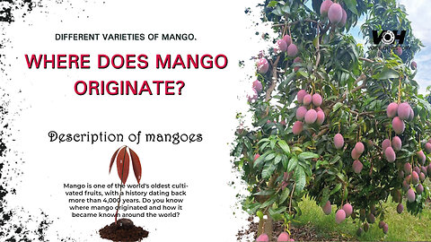 Where does the mango originate? | Different varieties of mangoes.