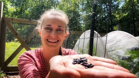 Plant Seeds with Me | Thoughts on Garden Design | VLOG