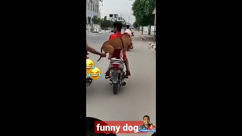 Man joked with dog 🤣🤣🤣🤣🤣😂😂😂😂😂😂😉😉😉