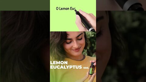LEMON EUCALYPTUS - Um óleo essencial refrescante e revigorante