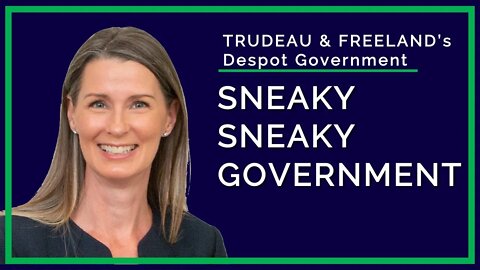 Sneaky Sneaky Government - Nadine Frankly Speaking 4K
