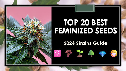 2024’s Best Feminized Seeds: Top 20 Strains