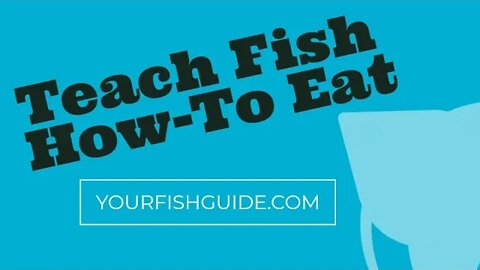 How To Get Fish To Adapt To Eating Habits ~ Fish Have Developed Techniques in Obtaining Their Food