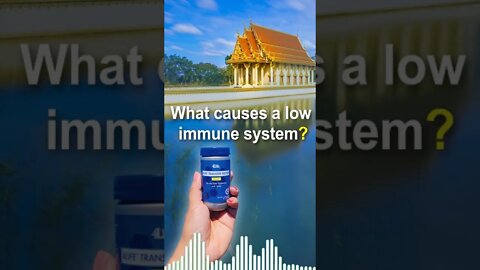 What causes a low immune system? Best wishes from 4Life Transfer Factor