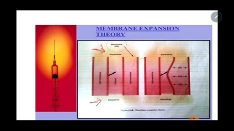 Oral Surgery L5 (Neurophysiology and Pharmacology of Local Anaesthesia)