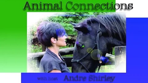Animal Connections - Horse's Mouth Ep 2
